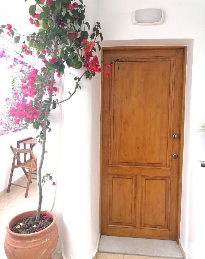Casa Athena Naxos Apartment Naxos City Luaran gambar